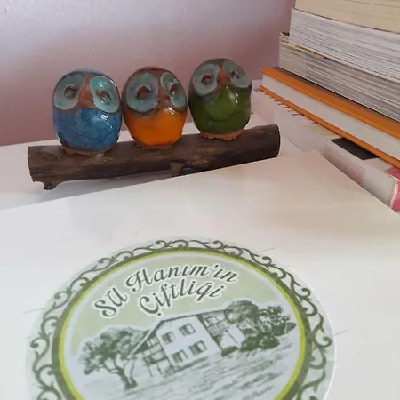 Su Hanimin Ciftligi Farm stay Mumcular
