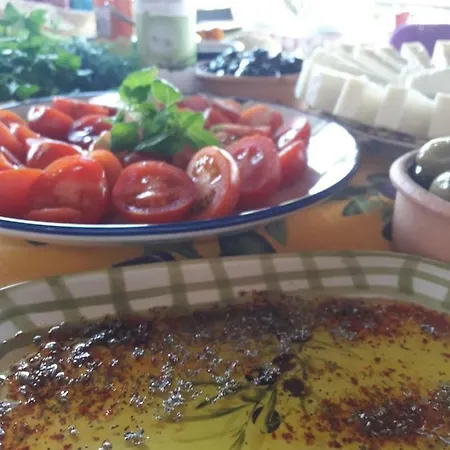Farm stay Su Hanimin Ciftligi Mumcular